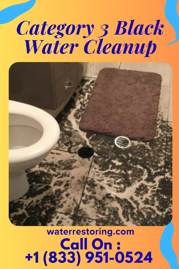 Category 3 Black Water Cleanup in Olympian Village, MO